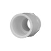 Charlotte Pipe Schedule 40 PVC Pipe Adapter (Pack of 25)