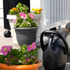 Bloem Ariana 13.7 in. H X 17.6 in. W X 16 in. D Plastic Planter Charcoal