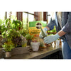 Miracle-Gro Cacti, Citrus and Palm Potting Mix 8 qt