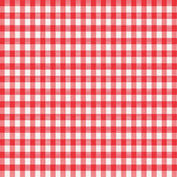 Magic Cover Red/White Checkered Vinyl Disposable Tablecloth 70 in. L X 52 in. W