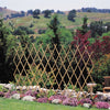 Bond BF24 4' X 6' Bamboo Fence (Pack of 6)