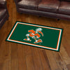 University of Miami Sebastian the Ibis 3ft. x 5ft. Plush Area Rug