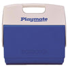 Igloo Playmate Plastic Blue Cooler 16 qt.