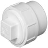 Charlotte Pipe Schedule 40 3 in. Spigot X 3 in. D FPT PVC Cleanout Adapter 1 pk