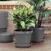 Bloem Terra 1 in. H X 5.5 in. W X 4.75 in. D Plastic Traditional Plant Saucer Charcoal