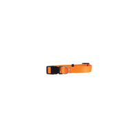 Petmate Blaze Orange Nylon Dog Adjustable Collar