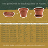 Bloem Terratray 1.2 in. H X 5.5 in. D Resin Traditional Tray Terracotta Clay