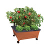 Emsco Group 9.5 in. H x 20 in. W x 24 in. D Plastic Elevated Rectangular Garden Box