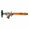 Prier 1/2 in. MPT X 1/2 in. Anti-Siphon Brass Freezeless Wall Hydrant