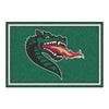 University of Alabama at Birmingham 5ft. x 8 ft. Plush Area Rug