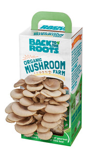 Back to the Roots Mushroom Grow Kit 1 pk