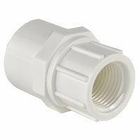 Charlotte Pipe Schedule 40 3/4 in. Slip x 1/2 in. Dia. FPT PVC Pipe Adapter (Pack of 25)