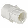 Charlotte Pipe Schedule 40 3/4 in. Slip x 1/2 in. Dia. FPT PVC Pipe Adapter (Pack of 25)