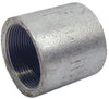 STZ Industries 1-1/4 in. FIP each X 1-1/4 in. D FIP Galvanized Steel Coupling