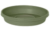 Bloem Terratray Thyme Green Resin Round Traditional Tray 2 H x 11.25 Dia. in. with Saucer