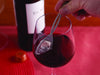 PureWine The Wand Silver Polypropylene Wine Filter