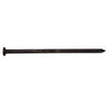 Maze 60D 6 in. Pole Barn Heat Treated Carbon Steel Nail Flat Head 50 lb