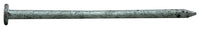 Pro-Fit 16D 3-1/2 in. Common Hot-Dipped Galvanized Steel Nail 1 lb