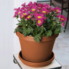 Bloem Terra Terracotta Resin UV-Resistant Round Planter 20.25 H x 24 Dia. in.