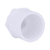 Charlotte Pipe Schedule 40 3/4 in. MPT x 1 in. Dia. Slip PVC Pipe Adapter (Pack of 25)