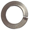 Hillman 1/4 in. D Stainless Steel Split Lock Washer 100 pk