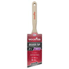 Wooster Silver Tip 2-1/2 in. Soft Semi-Oval Angle Paint Brush