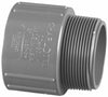 Charlotte Pipe 3/4 in. Slip X 3/4 in. D MPT PVC Adapter 1 pk