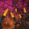 Celebrations Orange 50 ct LED String Lights