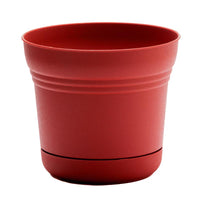 Bloem 4.5 in. H x 5 in. W Union Red Plastic Burnt Planter (Pack of 12)