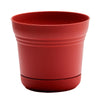 Bloem 4.5 in. H x 5 in. W Union Red Plastic Burnt Planter (Pack of 12)