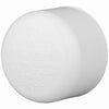 Charlotte Pipe Schedule 40 2-1/2 in. Slip PVC Cap 1 pk