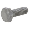 Hillman 1/4 in. X 1 in. L Hex Hot Dipped Galvanized Steel Lag Screw 100 pk