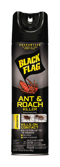 Black Flag Liquid Insect Killer 17.5 oz. (Pack of 12)