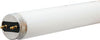 GE 32 watts T8 48 in. L Fluorescent Bulb Warm White Linear 3000 K (Pack of 6)