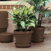 TERRAPOT CHOCOLATE 20"