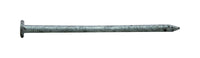 Pro-Fit 3 in. Common Hot-Dipped Galvanized Steel Nail Flat Head 1 lb