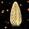 Celebrations Platinum LED C9 Warm White 25 ct String Christmas Lights 25 ft.