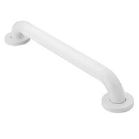 GLACIER 24" CONCEALED SCREW GRAB BAR