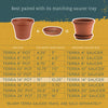 Bloem TerraPot 12.5 in. H X 14 in. D Resin Planter Terracotta Clay