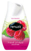 Renuzit Raspberry Scent Air Freshener 7 oz. Gel