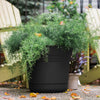 Bloem 10.75 in. H Plastic Saturn Flower Pot Black