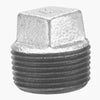 Anvil 3/4 in. MPT Galvanized Malleable Iron Plug