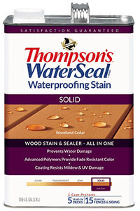 Thompson's WaterSeal Wood Sealer Solid Natural Cedar Waterproofing Wood Stain and Sealer 1 gal (Pack of 4)