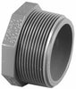 Charlotte Pipe Schedule 80 1/2 in. MPT X 1/2 in. D MPT PVC Threaded Plug 1 pk