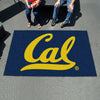 University of California - Berkeley Rug - 5ft. x 8ft.