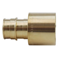 Apollo Expansion PEX / Pex A 3/4 in. Expansion PEX in to X 1 in. D PEX Brass Female Adapter