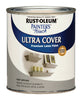 Rust-Oleum Painters Touch Satin Stone Gray Water-Based Ultra Cover Paint Exterior and Interior 250 g (Pack of 2).