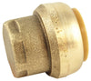 SharkBite 1 in. Push Brass End Stop