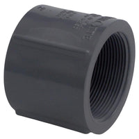 Charlotte Pipe Schedule 80 2 in. FPT X 2 in. D FPT PVC Coupling 1 pk