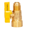 Eastman Magne Flo 1/2 in. Flare X 1/2 in. FIP Brass Gas Valve